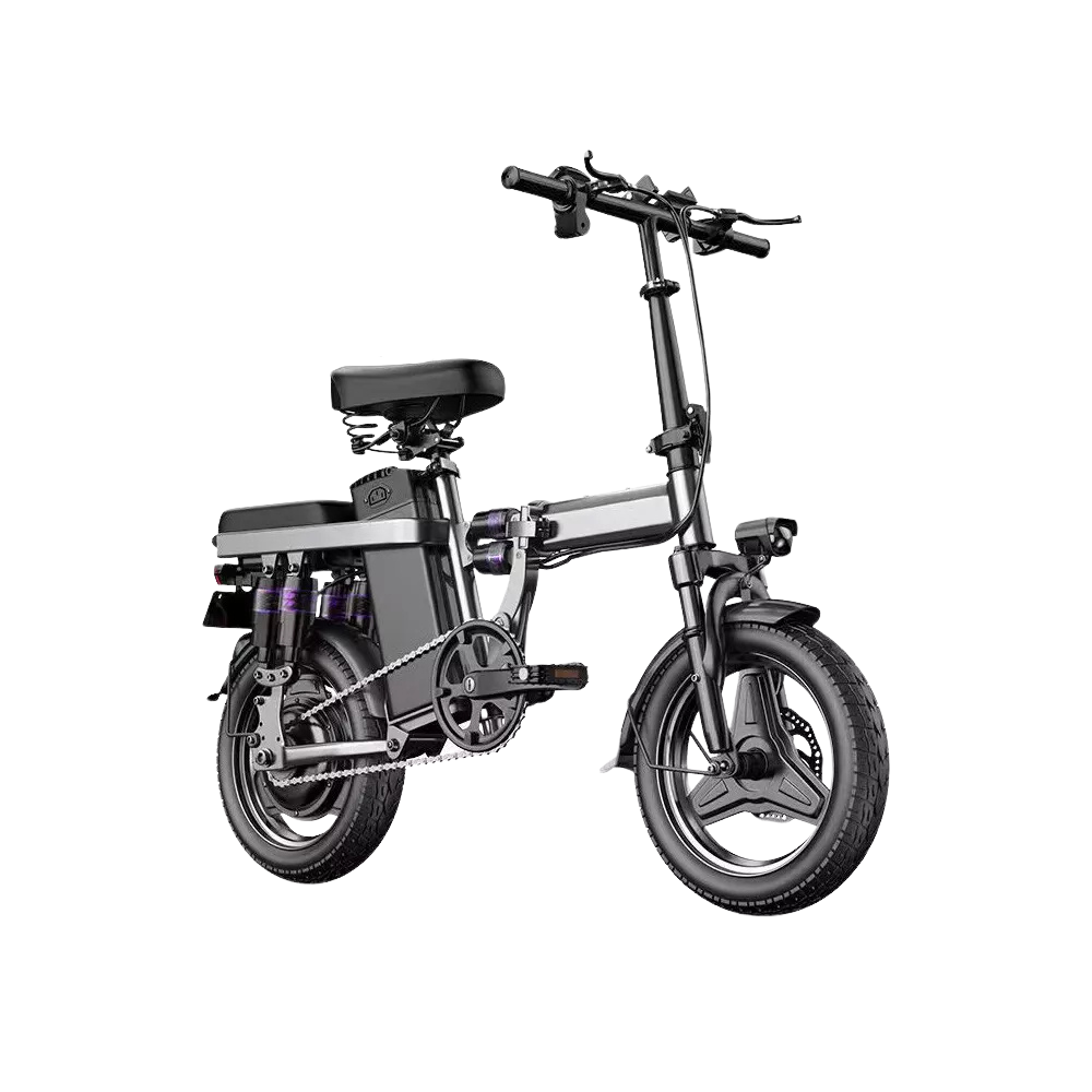 1000W E-Bike Fold