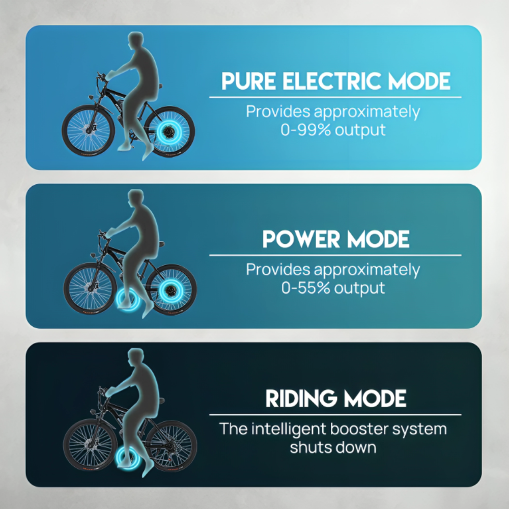 Poriya E-Bike 1500W