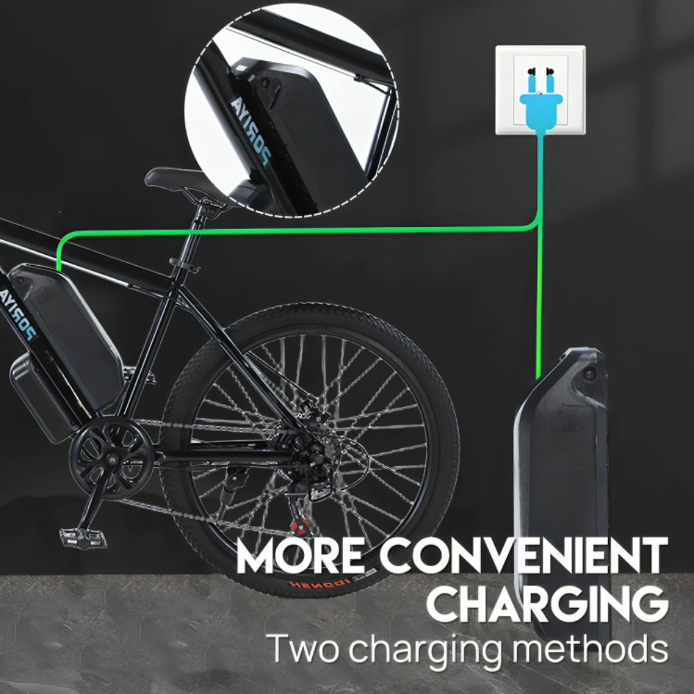 Poriya E-Bike 1500W