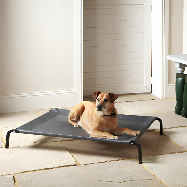 Elevated Pet Bed