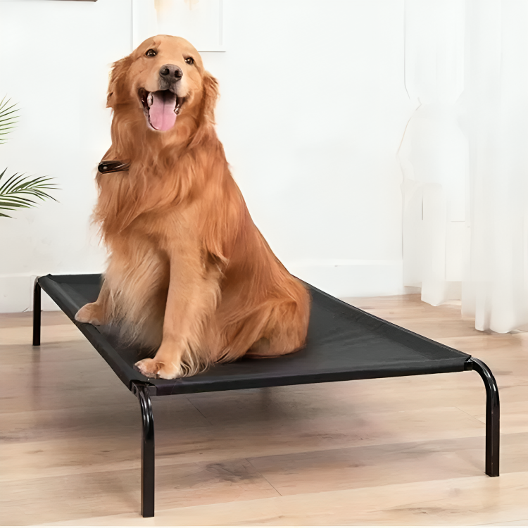 Elevated Pet Bed