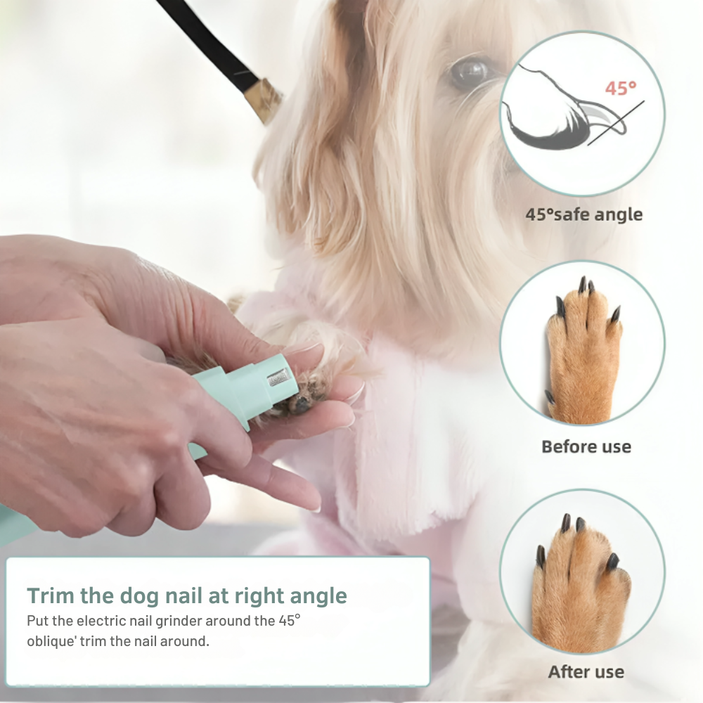 Pet Grooming Kit