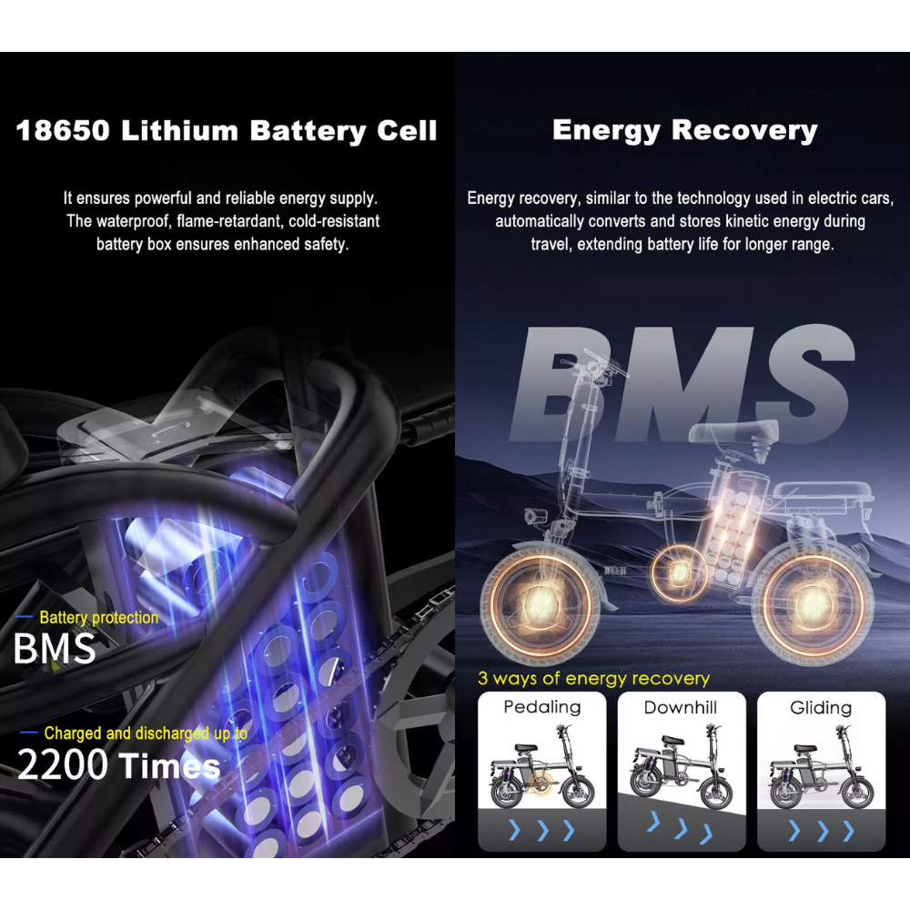 1000W E-Bike Fold