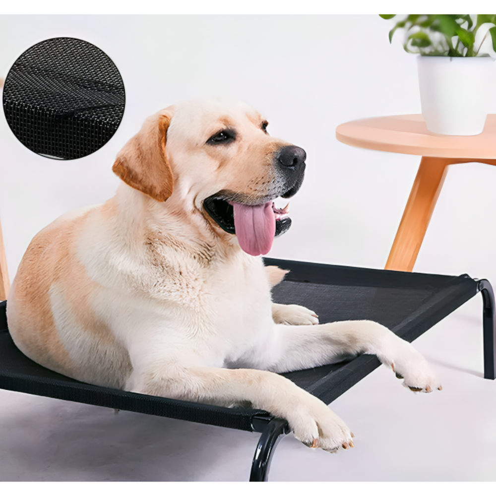 Elevated Pet Bed