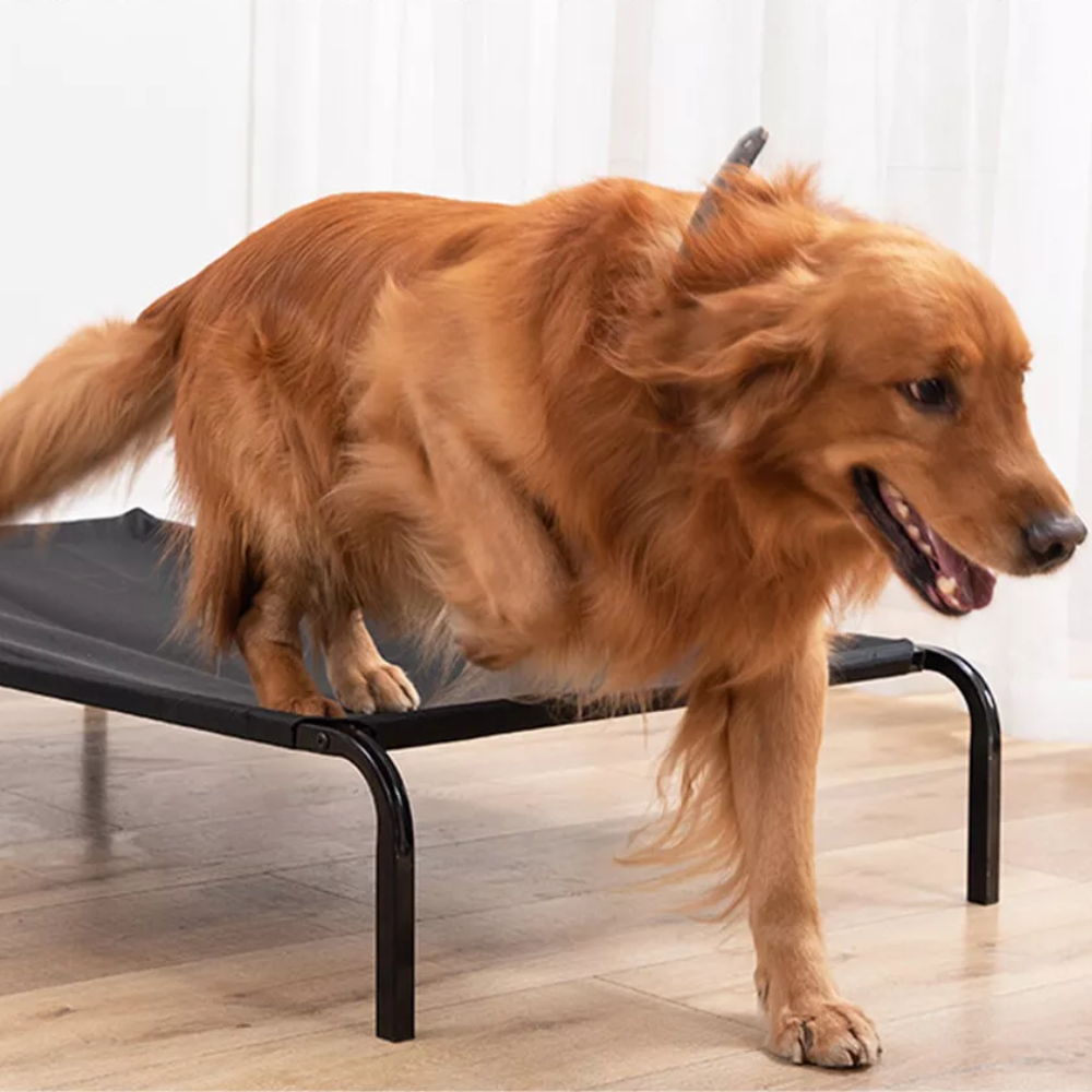 Elevated Pet Bed